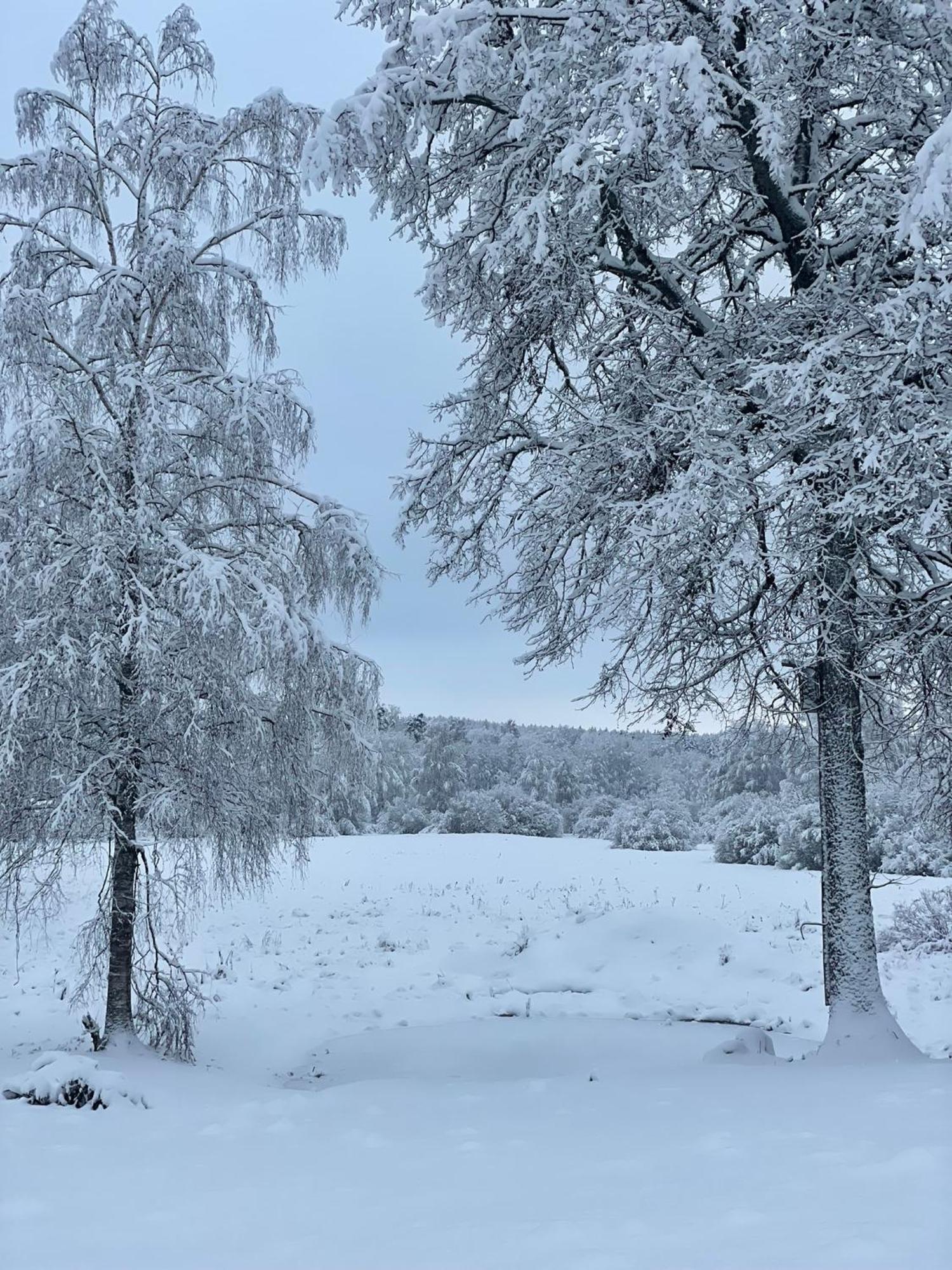 Tondikaku Holiday Home Otepää Eksteriør bilde